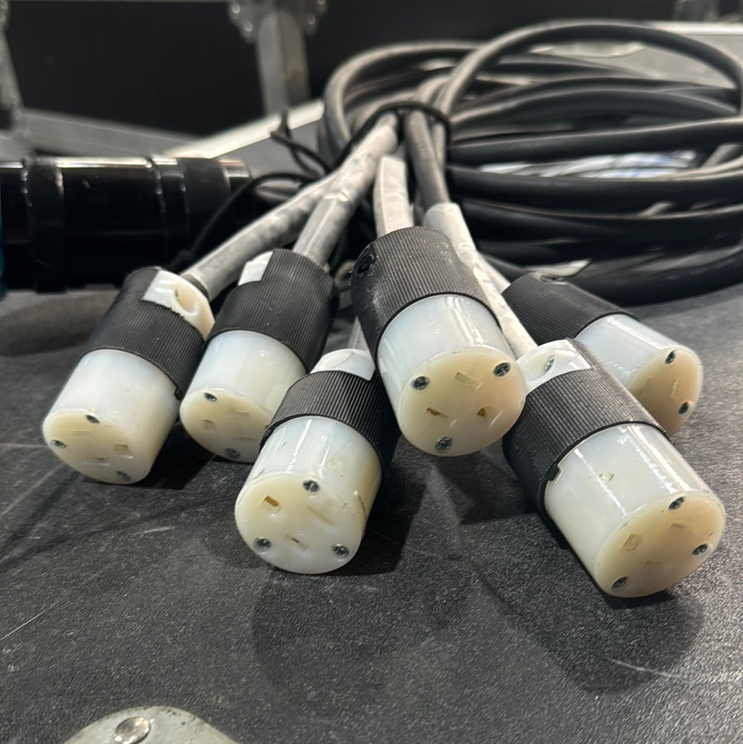 P19 (Socapex)- Fan Out to 6 Female